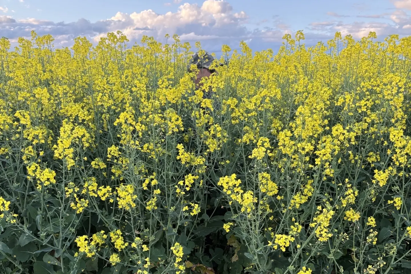 <p>Ocean2Earth produces marine-based agricultural products designed to support crop and soil performance. Hear all about what they do at their upcoming field day in Grenfell on 8 October.</p>\\n