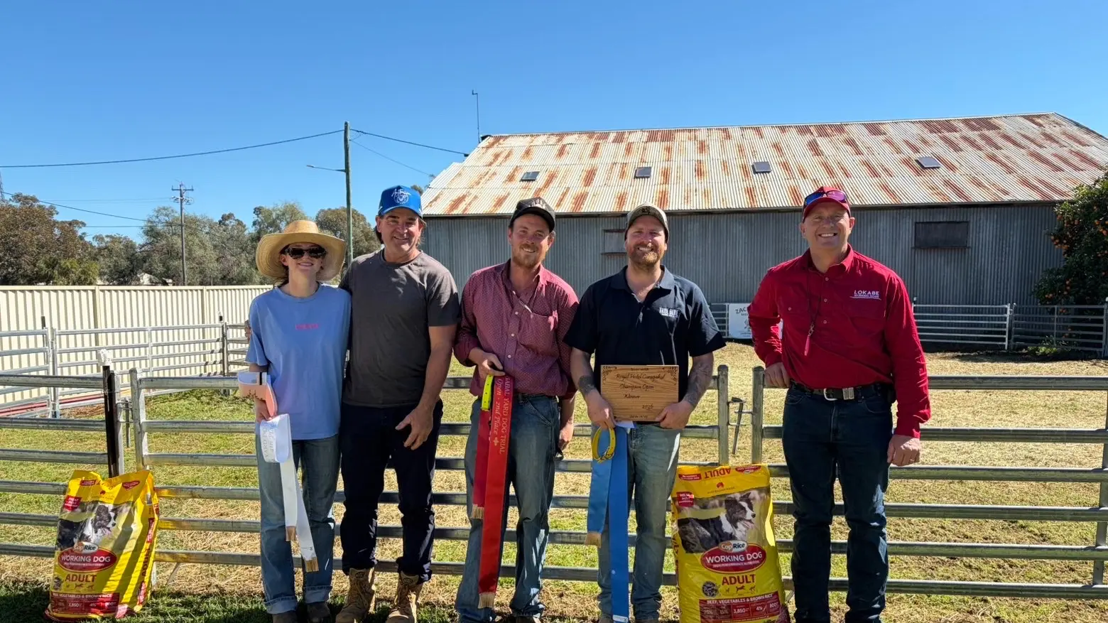 Yard dogs put on a show in Caragabal, Grenfell