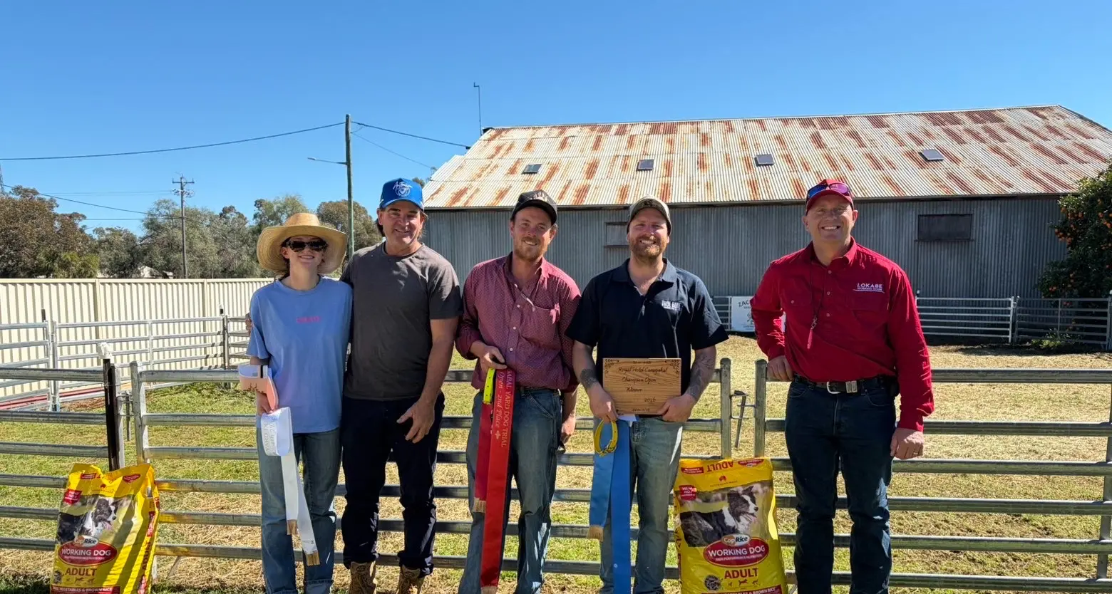 Yard dogs put on a show in Caragabal, Grenfell
