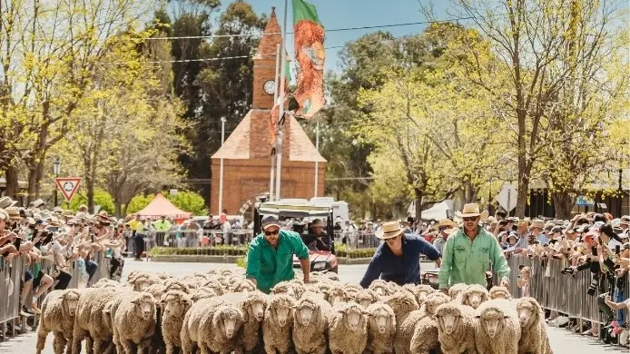Boorowa beckons with Woolfest on long weekend