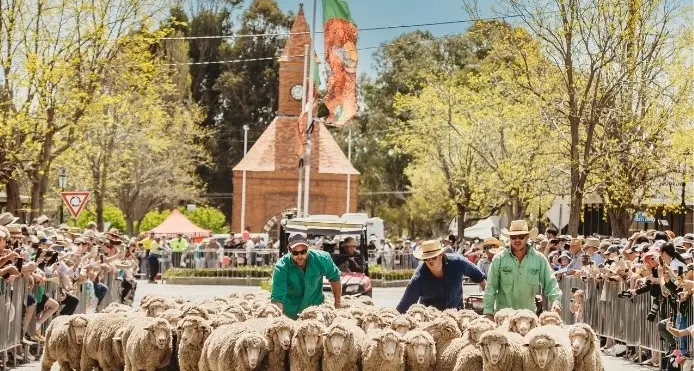 Boorowa beckons with Woolfest on long weekend
