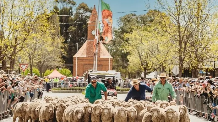 Boorowa beckons with Woolfest on long weekend
