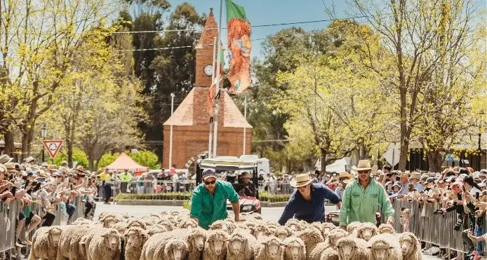 Boorowa beckons with Woolfest on long weekend