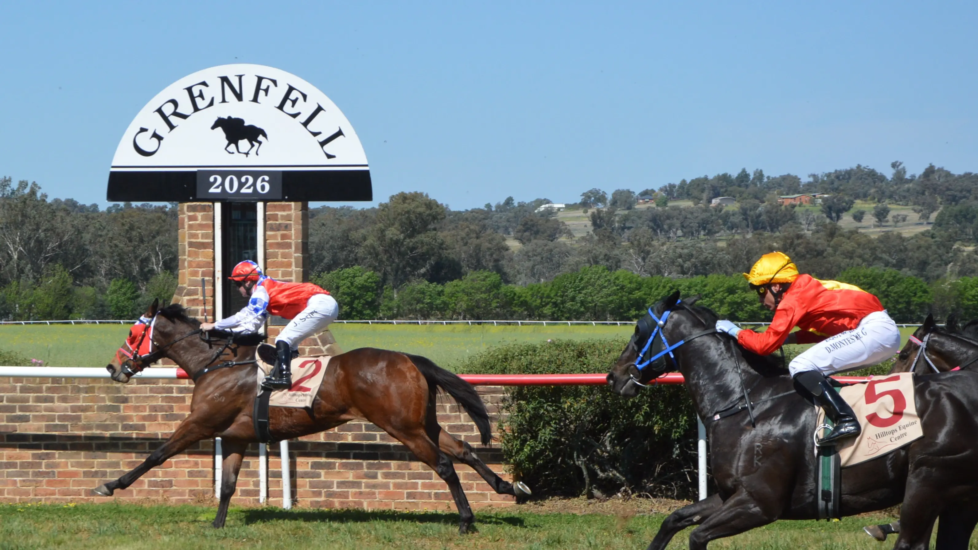 Kneel Down wins thriller