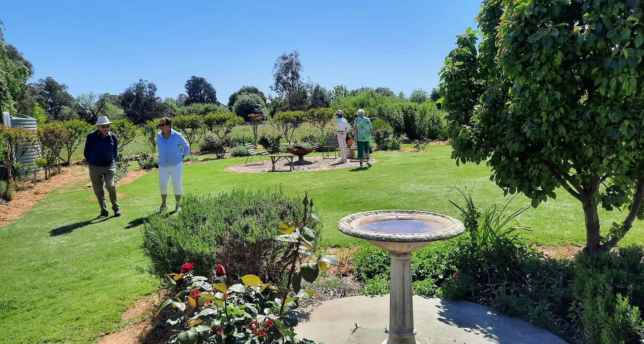 Open gardens set to bloom again