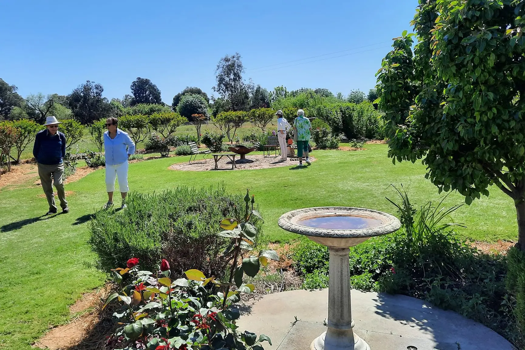 Open gardens set to bloom again